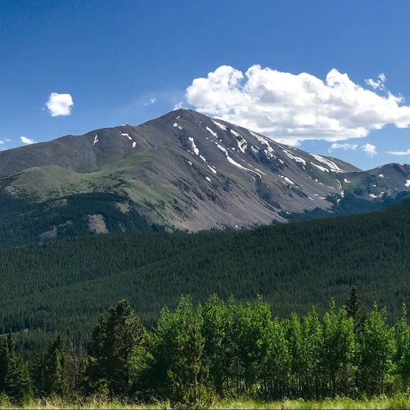 Meet your Posher, Sara - Picture 1 of 1